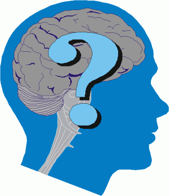 que estudios revelan sobre las decisiones en el cerebro