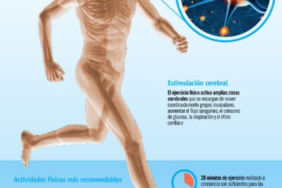 que impacto tiene el ejercicio fisico en la mente