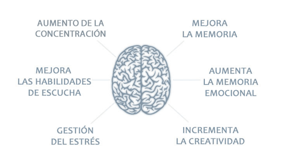 que impacto tiene el silencio en nuestro bienestar