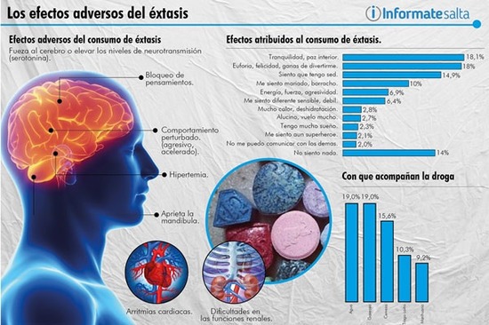 Qué investigaciones hay sobre el cerebro y el éxtasis 1 que investigaciones hay sobre el cerebro y el