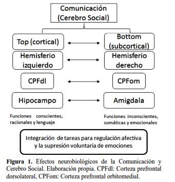 Qué métodos de psicoterapia se basan en la neurociencia 1 que metodos de psicoterapia se basan en la neurociencia