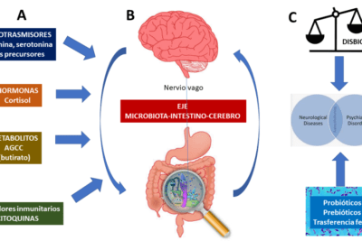 que relacion hay entre el microbioma y la salud cerebral