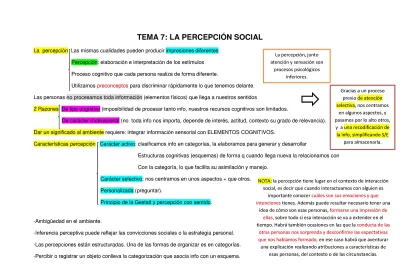 que rol juega la percepcion en la interaccion humana