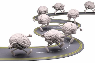 que rol juegan los habitos en la actividad cerebral