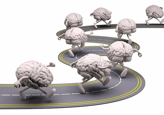 que rol juegan los habitos en la actividad cerebral