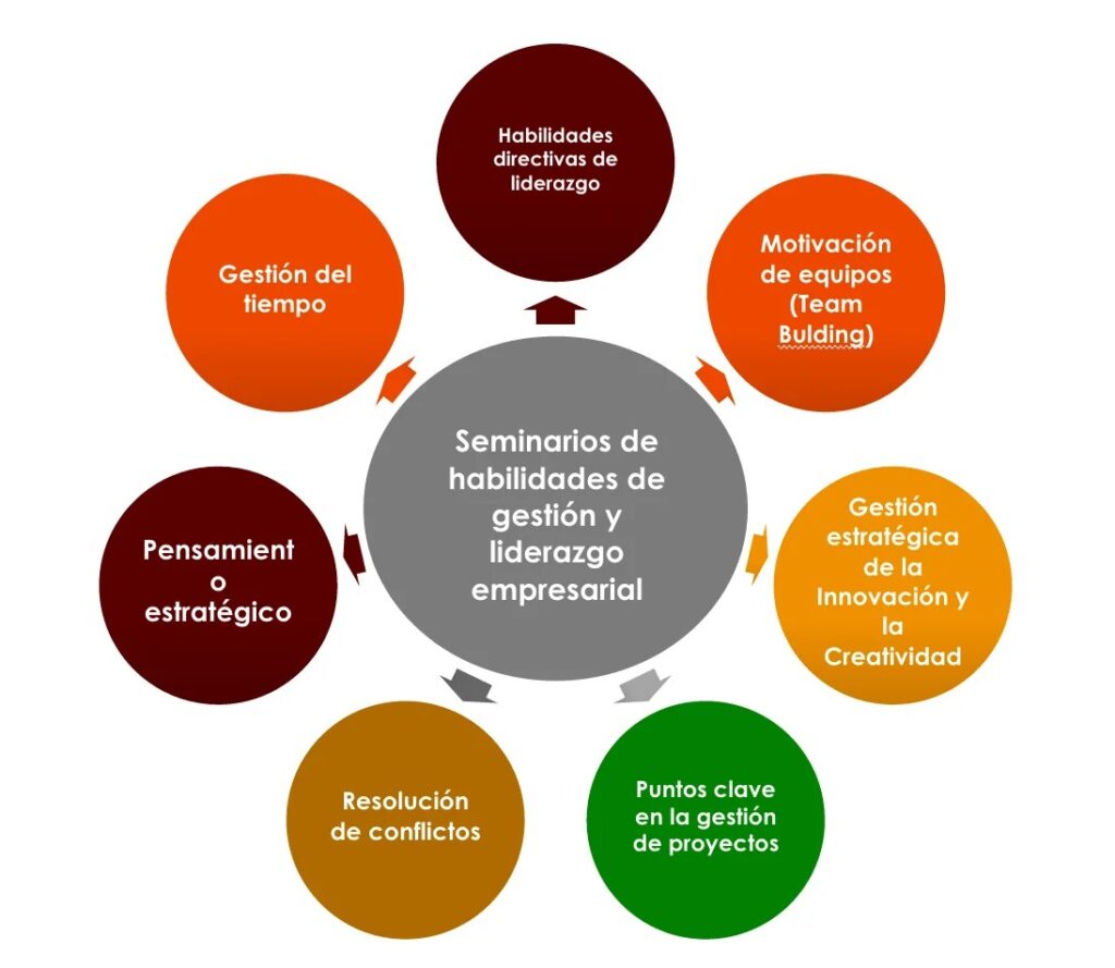 que son las habilidades de desarrollo de proyectos