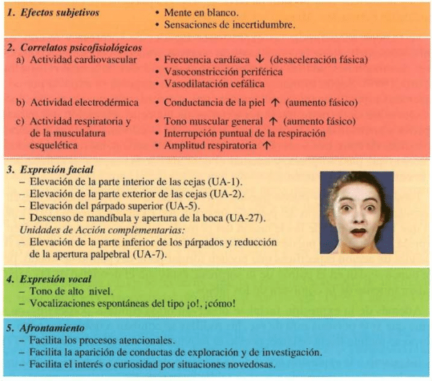 reacciones eficaces ante situaciones inesperadas en la vida