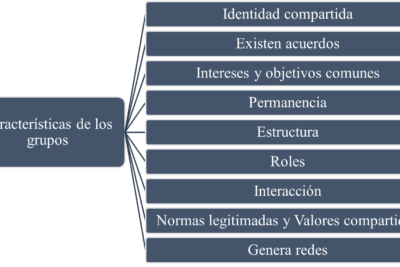 reflejo de la identidad en el comportamiento colectivo