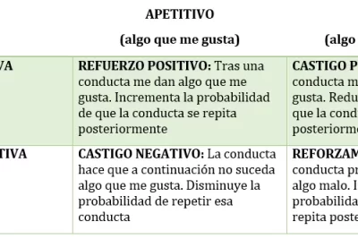refuerzo y estrategias efectivas en rehabilitacion psicologica
