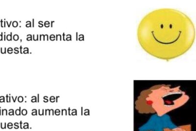 refuerzo y su conexion con el significado en la vida