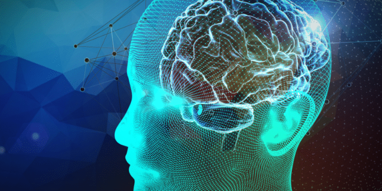 relacion entre bioetica y la investigacion en neurociencia