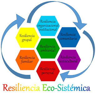 resiliencia en comunidades desfavorecidas desafios y oportunidades