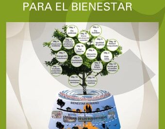 resiliencia recurso finito o habilidad renovable en la vida