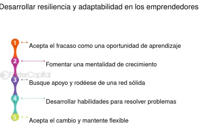 resiliencia y adaptabilidad diferentes o iguales
