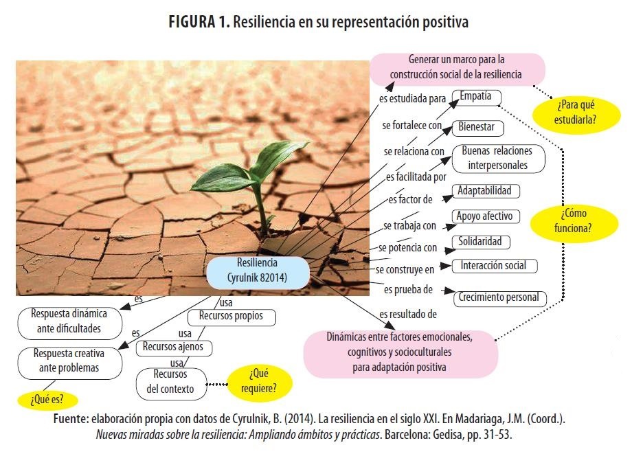 resiliencia y salud mental que evidencias hay