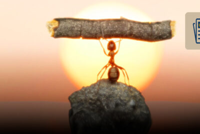 resiliencia y su impacto en la modificacion de actitudes