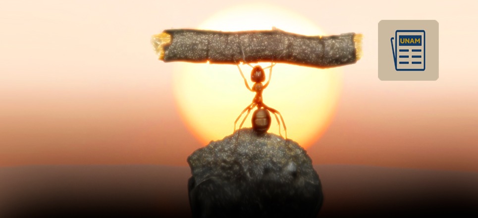 resiliencia y su impacto en la modificacion de actitudes