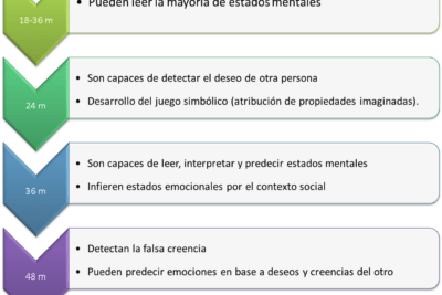 teoria de la mente definicion e importancia en psicologia