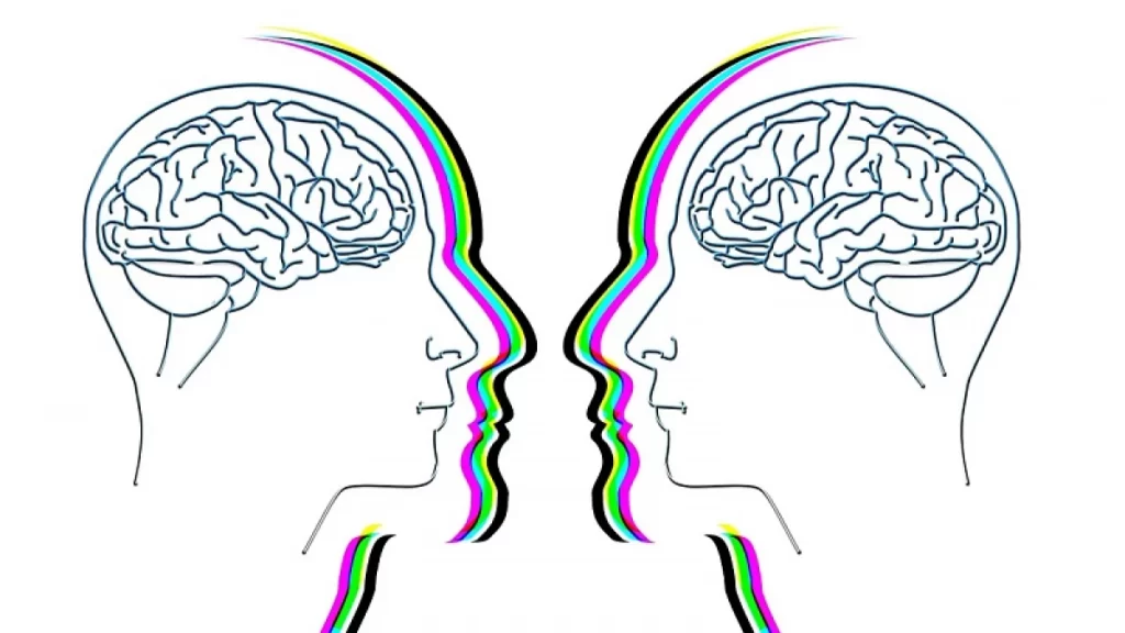 teoria de la mente y su conexion con la neurociencia