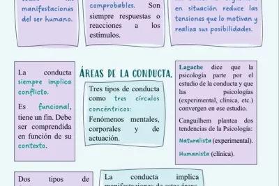 tipos de conducta en psicologia exploracion y sociedad