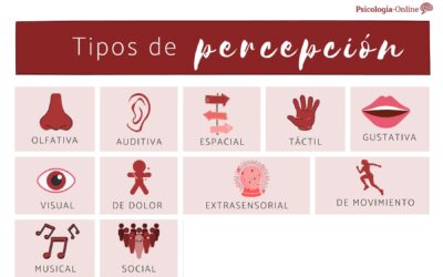 tipos de percepcion humana y sus caracteristicas exploradas