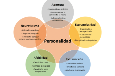 tipos de personalidad exploracion y categorizacion detallada