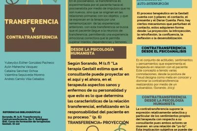 transferencia emocional impacto en la conducta humana