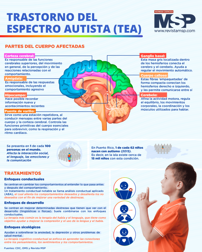 Trastorno del espectro autista: impacto en las personas afectadas 1 trastorno del espectro autista impacto en las personas afectadas