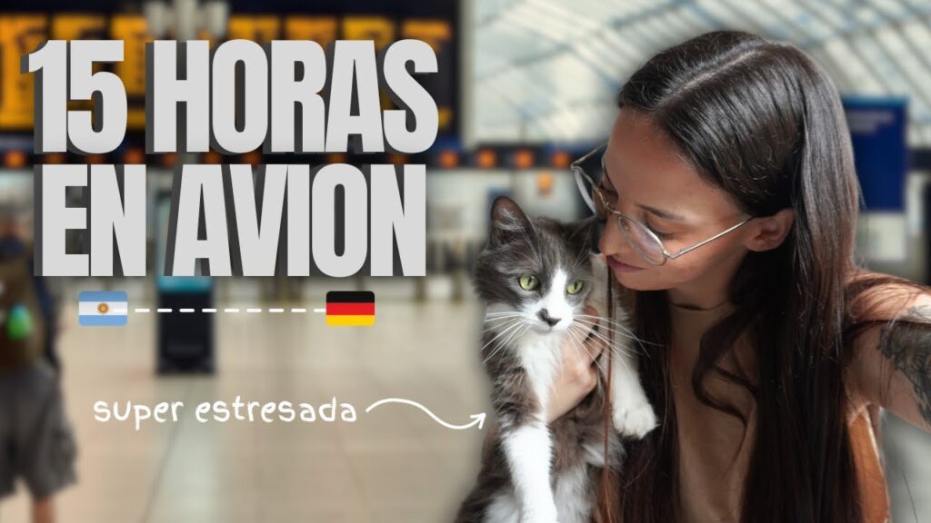 viaje con tu gatito a alemania guia completa desde argentina con air europa