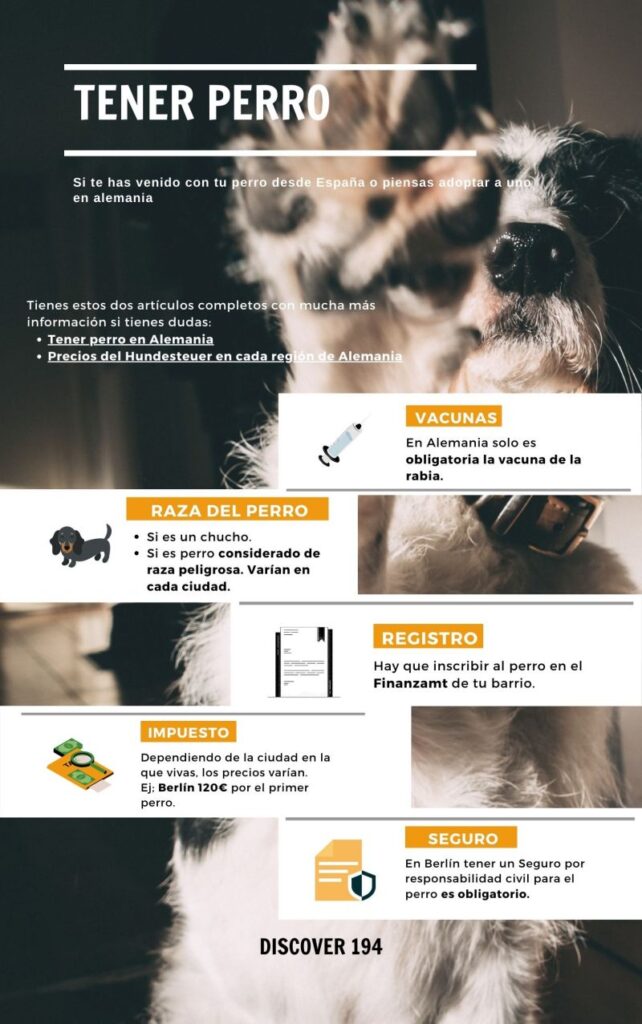 vivir con tu perro en alemania impuestos requisitos y apoyos