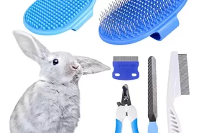 accesorios de bano imprescindibles para cuidar conejos domesticos