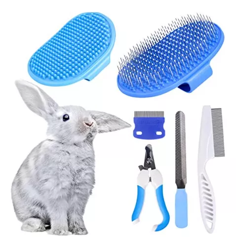 accesorios de bano imprescindibles para cuidar conejos domesticos