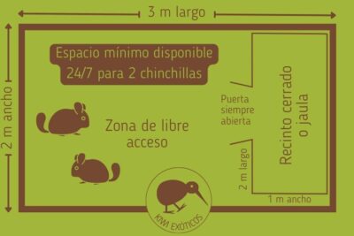 accesorios esenciales para el alojamiento de chinchillas