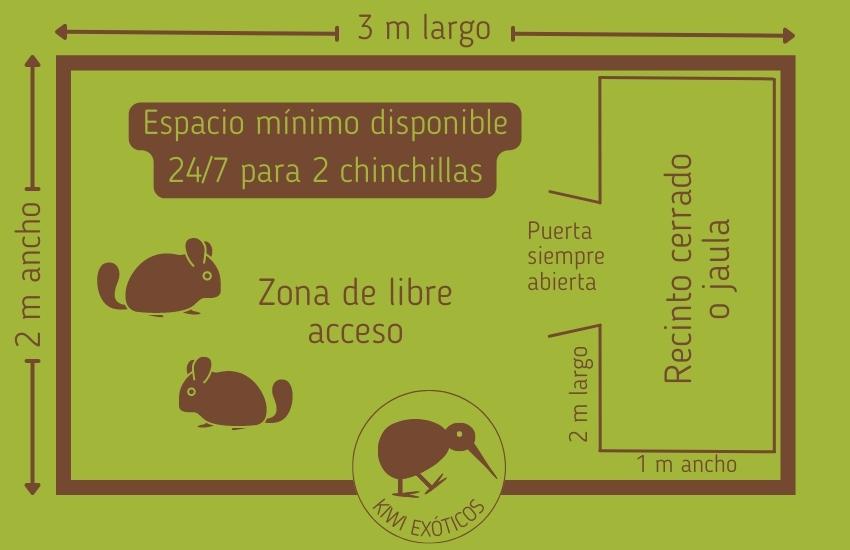 accesorios esenciales para el alojamiento de chinchillas