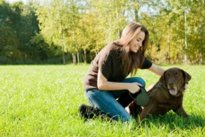 ajusta la socializacion de tu mascota a su personalidad
