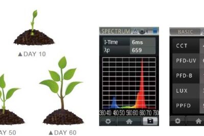 ajustar la luz para el crecimiento de diversas especies de plantas