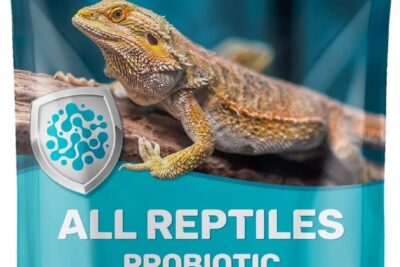 alimentos que mejoran la salud intestinal en reptiles
