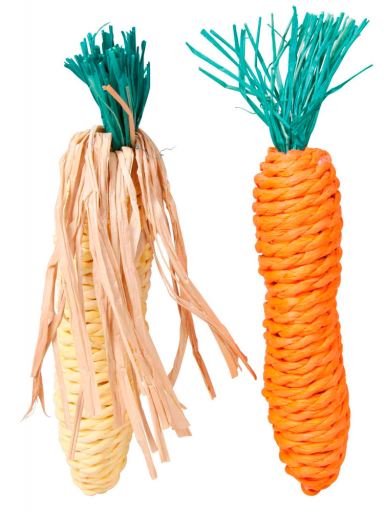 Alimentos saludables para la dentadura de pequeños roedores 1 alimentos saludables para la dentadura de pequenos roedores