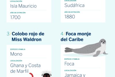 animales de alto riesgo segun la ley cuales son