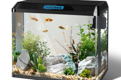 aprovecha al maximo el espacio en tu acuario para reptiles