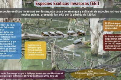 aspectos legales para la conservacion de especies exoticas