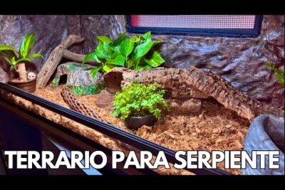 atencion veterinaria para mascotas en terrarios