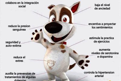 beneficios emocionales de la socializacion para tu mascota