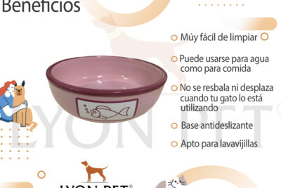 beneficios y consejos sobre platos de barro para roedores