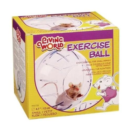 Bolitas de ejercicio para roedores: beneficios y consejos clave 1 bolitas de ejercicio para roedores beneficios y consejos clave