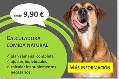 calculadoras de dieta para mascotas como ayudan a tu animal