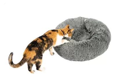 camas comodas y elegantes para gatos exoticos guia esencial
