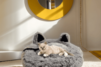 camas en forma de casa para gatos estilo y comodidad felina