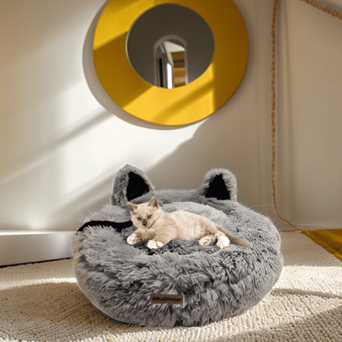 camas en forma de casa para gatos estilo y comodidad felina
