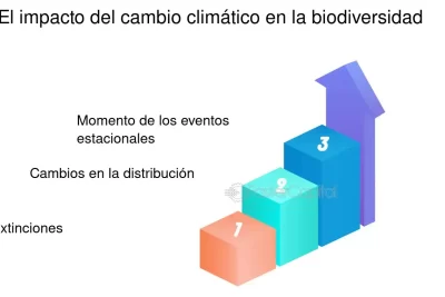 cambios estacionales y su impacto en el enriquecimiento ambiental
